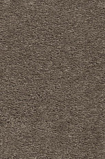 Ковролин AW Invictus Heroicus 39 фото 1 | FLOORDEALER